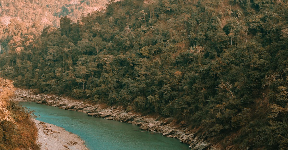 Siliguri: The Gateway That Deserves a Stay